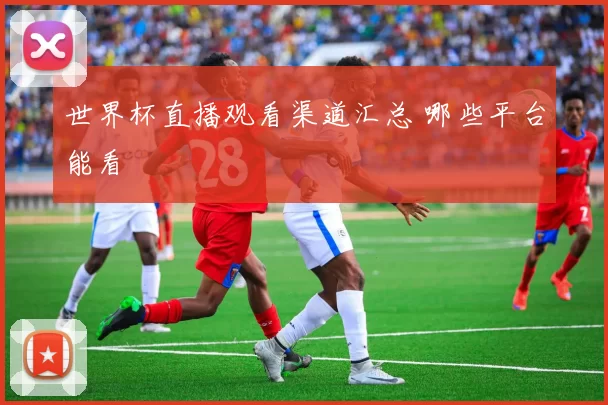 世界杯直播观看渠道汇总 哪些平台能看