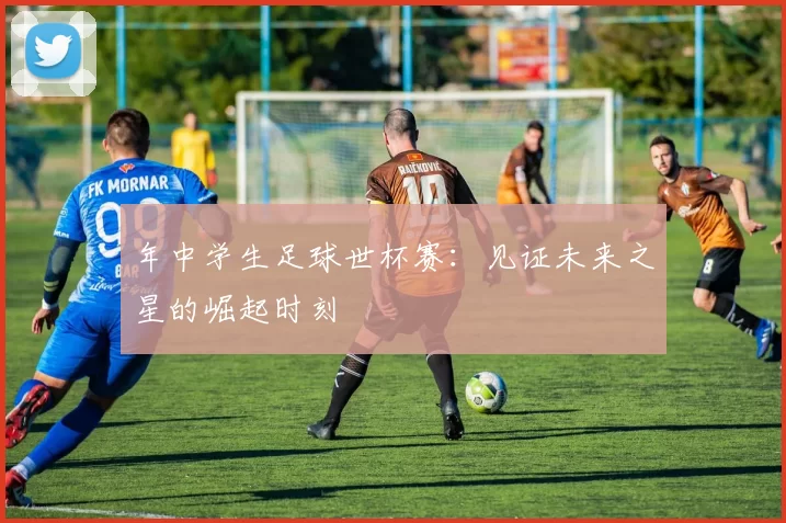 年中学生足球世杯赛:见证未来之星的崛起时刻