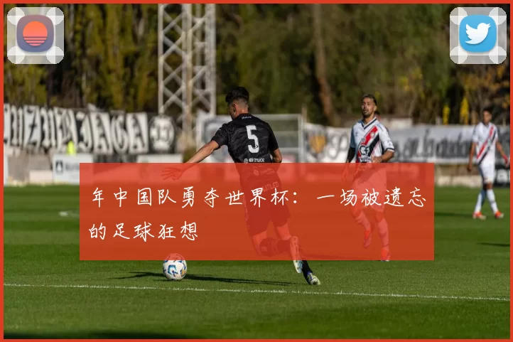 年中国队勇夺世界杯:一场被遗忘的足球狂想