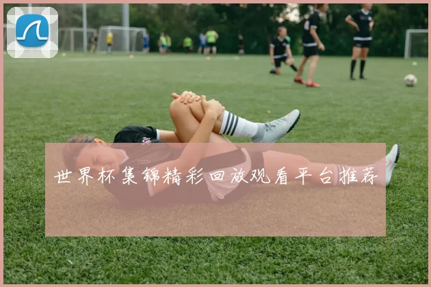 世界杯集锦精彩回放观看平台推荐