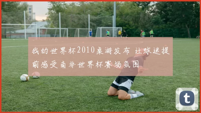 我的世界杯2010桌游发布 让球迷提前感受南非世界杯赛场氛围