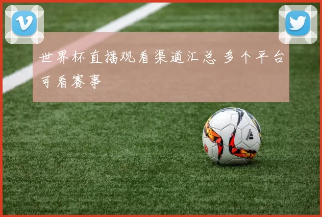 世界杯直播观看渠道汇总 多个平台可看赛事