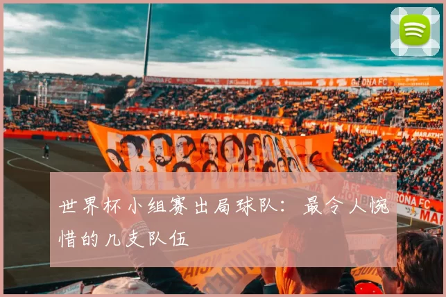 世界杯小组赛出局球队:最令人惋惜的几支队伍