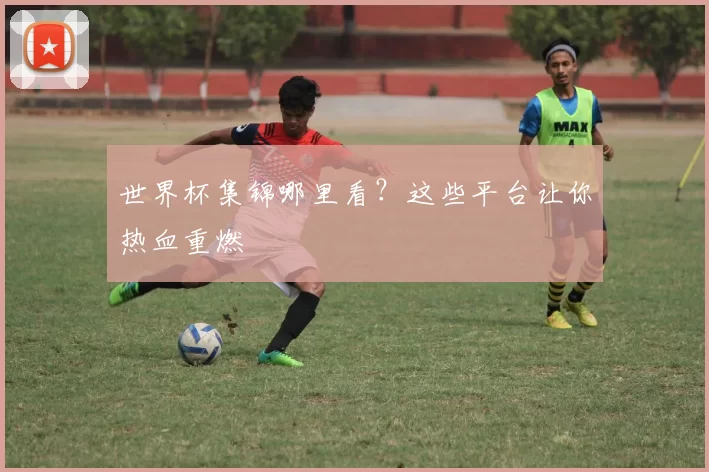 世界杯集锦哪里看？这些平台让你热血重燃