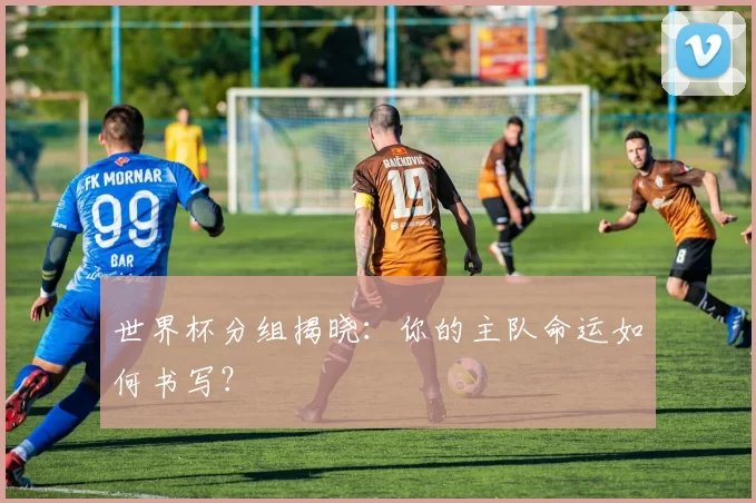 世界杯分组揭晓:你的主队命运如何书写?