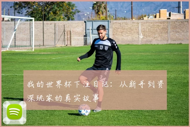 我的世界杯下注日记:从新手到资深玩家的真实故事