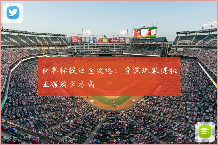 世界杯投注全攻略：资深玩家揭秘正确购买方式