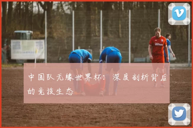 中国队无缘世界杯：深度剖析背后的竞技生态