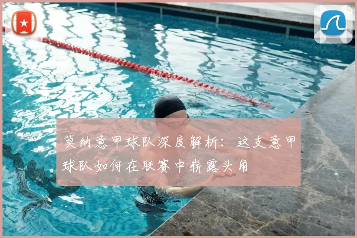 莫纳意甲球队深度解析：这支意甲球队如何在联赛中崭露头角