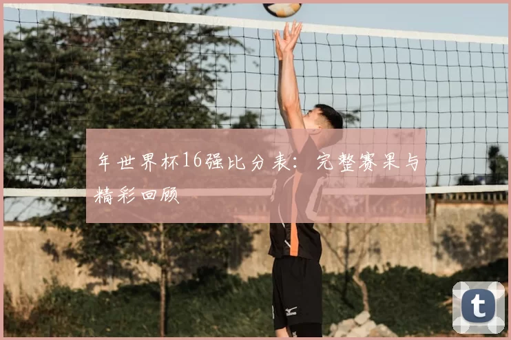 年世界杯16强比分表：完整赛果与精彩回顾