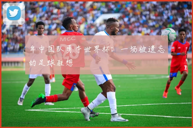 年中国队勇夺世界杯：一场被遗忘的足球狂想